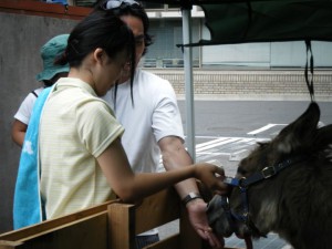 お父さんも楽しそうにリンゴをあげて。動物もおいしくてご満悦。