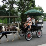 市役所の廻りを周遊。いつか保育園の体験馬車や、学生による馬車制作などにつながれば。