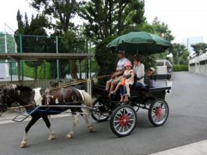 市役所の廻りを周遊。いつか保育園の体験馬車や、学生による馬車制作などにつながれば。