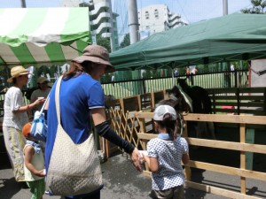 馬車を楽しんだ後は、ポニーやロバにえさやり体験も。