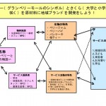 ３班は「まちにおいしい特産品を」。多摩の土地に育ちやすいベリーと桜とお菓子名人のマッチングをはかって。