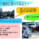 「横浜にポニー馬車が居るらしい！」　４班は冬のさなか、３度通ってやっとクリスマスイヴに馬車に会えて涙。