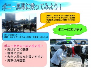 「横浜にポニー馬車が居るらしい！」　４班は冬のさなか、３度通ってやっとクリスマスイヴに馬車に会えて涙。